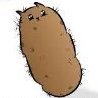 hairy potato cat
